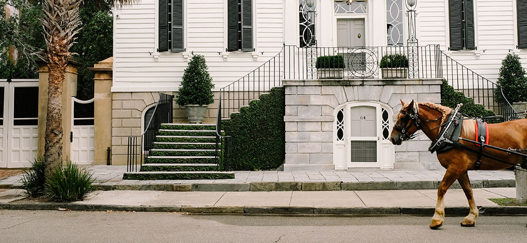 horse carriage tour charleston sc